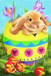 bunny egg