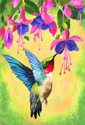 hummingbird fuchsia