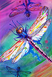 colorful dragonflys