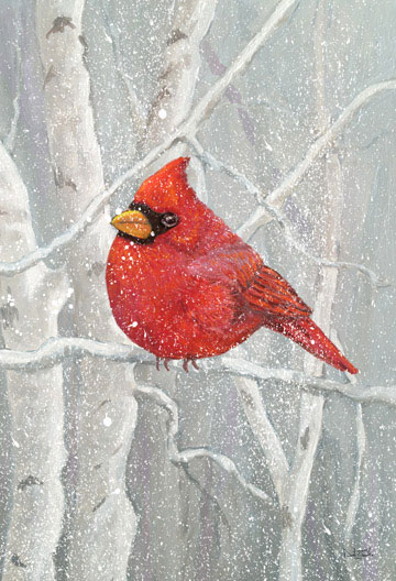 Cardinal Birches