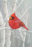 Cardinal Birches