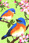 Bluebird Blossoms
