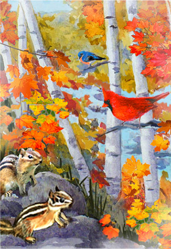 fall birches